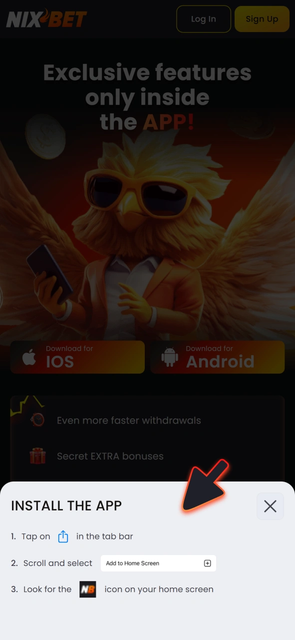 Volg de instructies op de website om de NixBet iOS-app te downloaden.